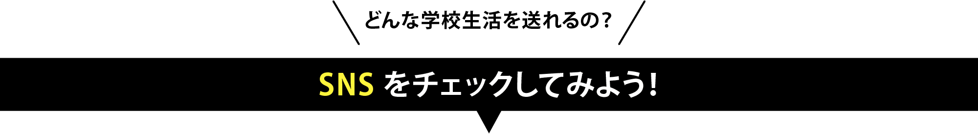 SNSをチェックしてみよう！